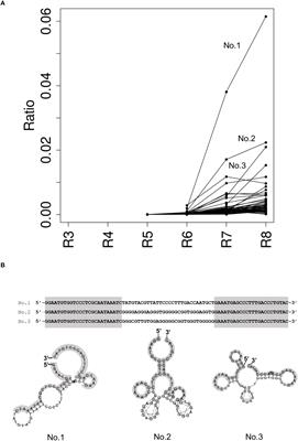 Structural characterization of human de novo protein NCYM and its complex with a newly identified DNA aptamer using atomic force microscopy and small-angle X-ray scattering